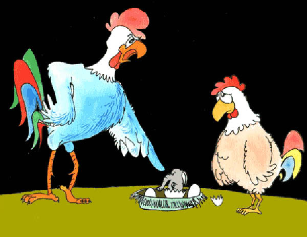 cocu 0002-humourenvrac